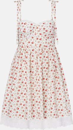 Dolce & Gabbana Floral lace-trimmed cotton-blend poplin minidress