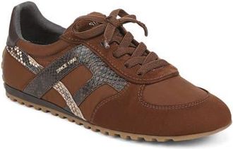 Franco Sarto Raquel Sneaker in Brown at Nordstrom, Size 9.5