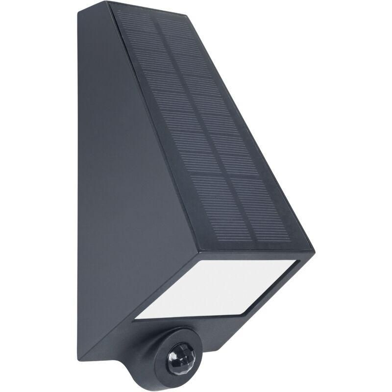 Solar-Vogel-Lichterkette – Hängende Solarlampions Für Außen, Warmweiße LED, Wetterfest (IP44) – Goldene Gartenleuchte