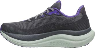 Saucony (WMNS) Saucony Triumph 23 GTX Shadow Aloe S11025-01