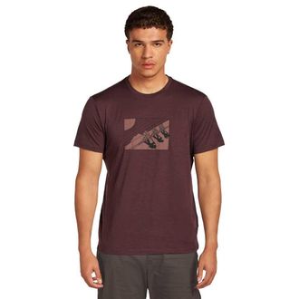 Icebreaker Merino 150 Tech Lite in The Wild Short Sleeve T-Shirt L Purple