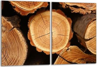 OEM Placa Protectora De Vidrio Para Estufa 2x40x52 Le&ntilde;a