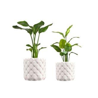Jonathan Y Designs Syrie Modern Bohemian Indoor Ocean Wave Eco-Friendly 3D Printed Planters with Drainage