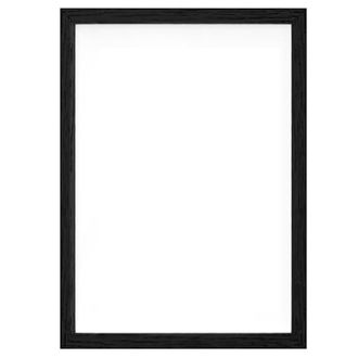 OEM Marco Fotografico - 27,9 X 35,6 Cm - Panel Acr&iacute;lico Hd - Montaje Vertical O Horizontal - Negro - 1 Unidad