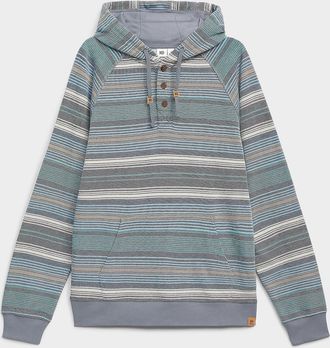 tentree Mens Muted-stripe hoodie
