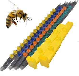 OEM Kit De Iniciaci&oacute;n A La Apicultura, Kit De Iniciaci&oacute;n A La Apicultura Plegable Multifuncional, Taza De Apicultura