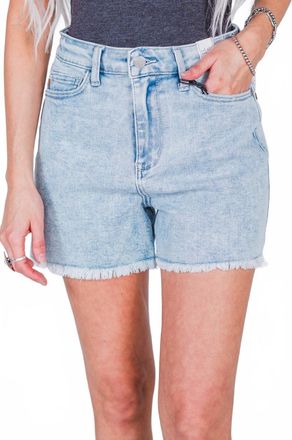Judy Blue Alina High Waist Cut-Off Shorts In Blue
