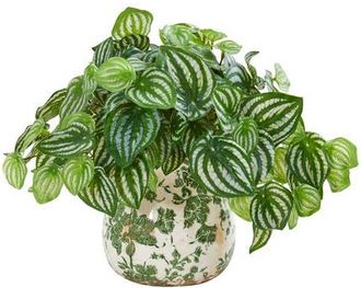 Nearly Natural Watermelon Peperomia Artificial Plant in Vase in Green at Nordstrom