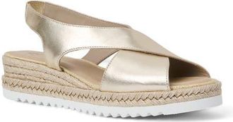 Aquatalia Adelina Weatherproof Slingback Espadrille Platform Wedge Sandal in Platino at Nordstrom, Size 11