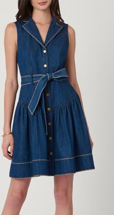 Shoshanna Embroidered Denim Mae Dress at Nordstrom, Size 12