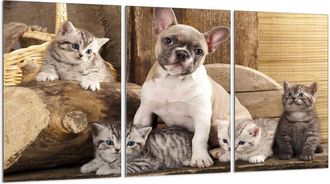 OEM Placa Protectora De Vidrio Para Estufa 3x30x52