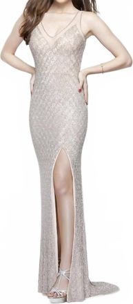 Primavera Embroidered Beaded Gown In Blush