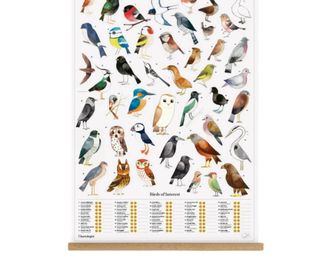Suck UK The Chartologist - Poster Hanger In White