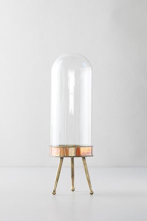 Terrain Distressed Metal + Glass Terrarium on Stand