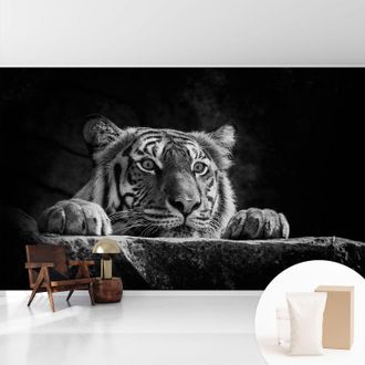 Tulup Tapete Vliestapete Mit Kleber - Modernes Design - Wohnungsdeko - Geruchslos - Langlebig Raubtierhafter Blick 416x254 Cm
