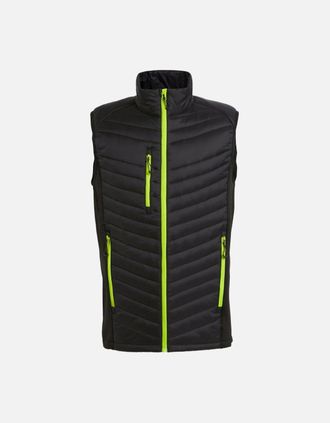 Regatta Mens Regatta Professional Mens Quilted Hybrid Gilet - Black - Size: 42/Regular