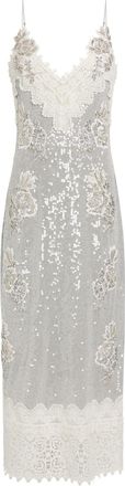 Erdem Embellished Lace-trim Chiffon Midi Slip Dress - Silver - 10 (UK10 / S)