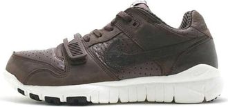Nike x Stussy Trainer Dunk Low Stussy World Tour 315731-221