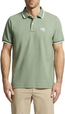 Psycho Bunny Elliot Pima Cotton Piqu&eacute; Polo in Sea Spray at Nordstrom Rack, Size 3