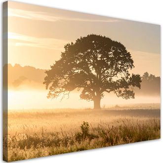 Feeby Impresi&oacute;n De Imagen, &Aacute;rbol En La Niebla En Un Prado Paisaje Naturaleza, 100x70