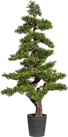 Creativ Green Kunstbonsai