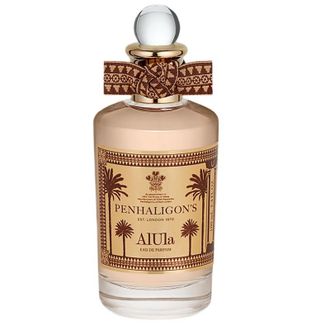 OEM Aiula Eau De Parfum Spray 100ml