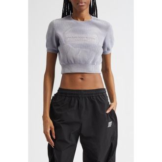 Alexander Wang Logo Short Sleeve Chenille Crop Sweater in Washed Grey at Nordstrom, Size X-Large