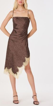 ASTR the Label Kiersten Polka Dot Lace Trim Slipdress in Brown Polkadot at Nordstrom, Size X-Small