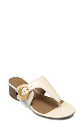 Aerosoles Cloude Flip Flop in Eggnog Nappa at Nordstrom, Size 8.5