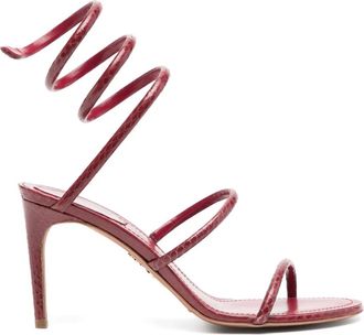 Rene Caovilla 85mm Cleo sandals - Red