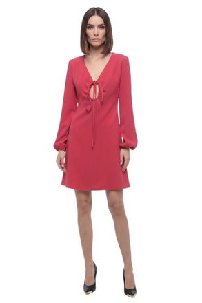 Parosh Pink V Neck Mini Dress