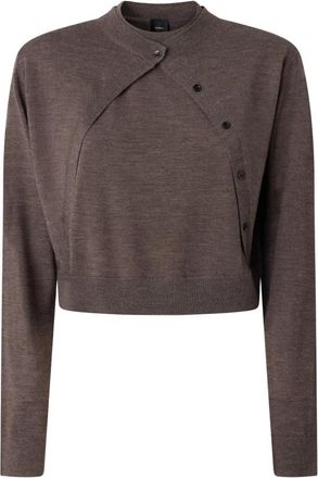 Pinko Cardigans - Dames - Vesten - Bruin - L - Truien & Vesten