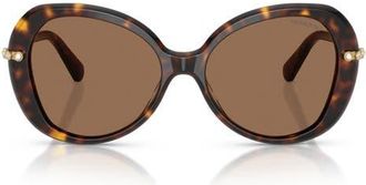 Swarovski 55mm Butterfly Sunglasses in Havana /Dark Brown at Nordstrom