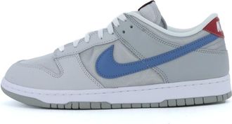 Nike Dunk Low Silver Surfer HF0391-001