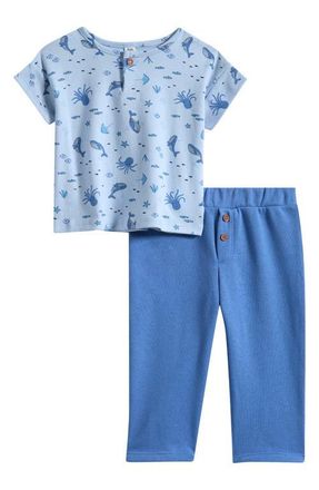 Nordstrom Print T-Shirt & Pants Set in Blue Skyway Sea at Nordstrom, Size 18M
