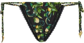 Roberto Cavalli Slip bikini con stampa - Nero