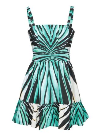 Roberto Cavalli Dresses