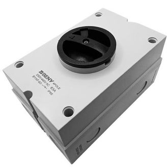 Ls Bademoden Interruptor Ls 9990000822638 Blanco 63a Ip65