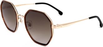 Carrera Unisex 53 mm Brown Horn Sunglasses