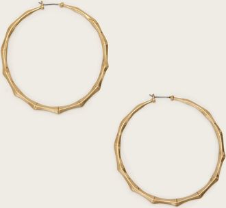 AllSaints Brass Clara Large Hoop Earrings, Size: One Size