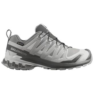 Salomon XA Pro 3D V9 GTX Multisportschuhe f&uuml;r Damen | grau