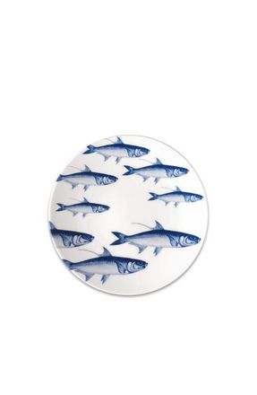 Caskata School of Fish Blue Coupe Salad Plate - Porcelain - Set 4 at Nordstrom