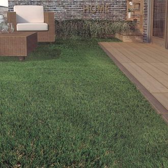 Nortene Nortene - C&eacute;sped Artificial Zurich Evolution 50 Mm 2x4 M