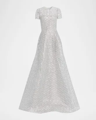 Naeem Khan Metallic Raffia Embroidered Short-Sleeve Gown