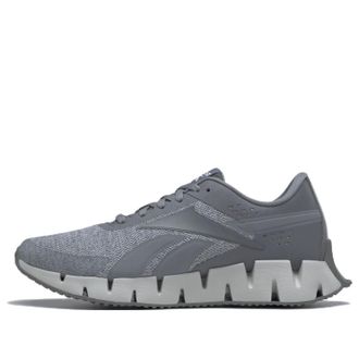 Reebok Zig Dynamica 2 Pure Grey HQ5896