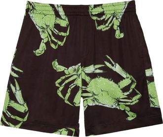 Msgm Shorts con stampa grafica - Marrone
