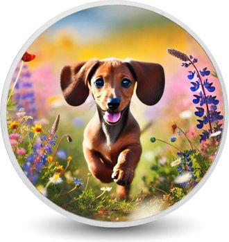 OEM Moneda De Plata De 1 Oz blissful Meadow Run