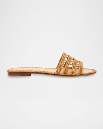Carrie Forbes Alana Raffia Flat Slide Sandals