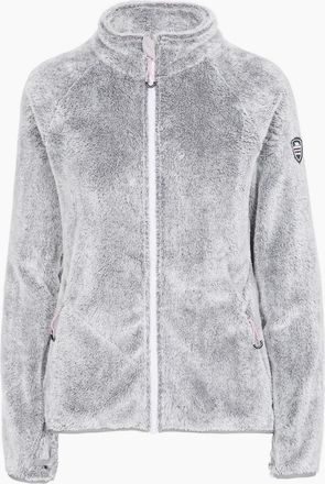Trespass Womens Trespass Womens/Ladies TELLTALE Winter Fleece Jacket - Silver/Multi - Size: 18/20