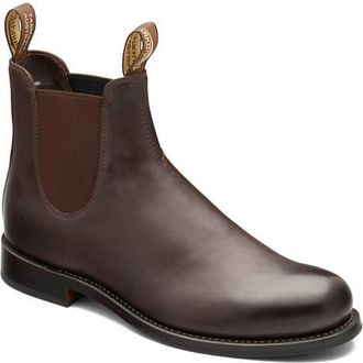 Blundstone All Terrain Water Resistant Chelsea Boot in Brown Leather at Nordstrom, Size 11